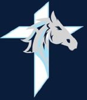 FFM Logo